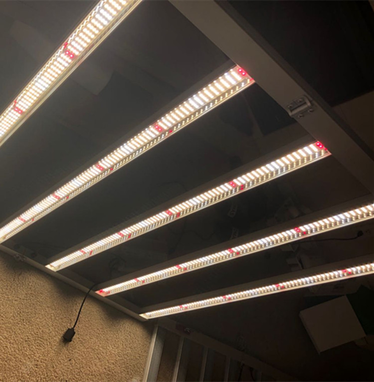 2020 Commercial 600w Full Spectrum Led Grow Light