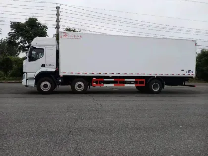 Dongfeng 6x2 Freezer container trucks