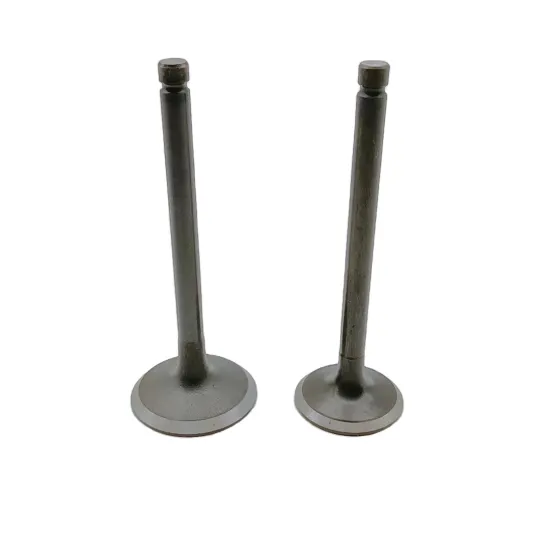 Factory Direct Sale Intake and Exhaust Valves for MITSUBISHI 4M40 4M40T (ME202687, ME200050, ME202688, ME200051)