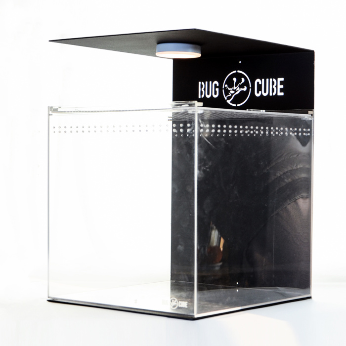 Caixa de criação de lagartos acrílicos de tamanho personalizável