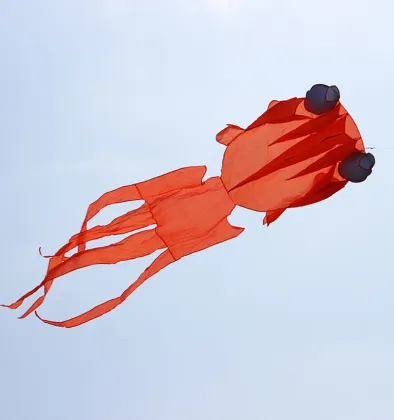 Red Wheel Kite Reel Winder for 100M Twisted String - Kite Accessories for Outdoor Play