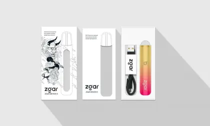 France wholesale OEM/ODM rechargeable e-cigarette