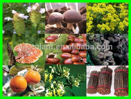 ceramic powder spray dryer technology