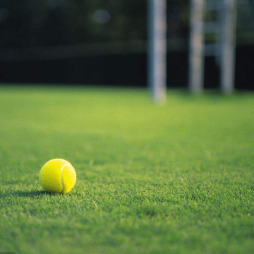 Rumput Turf Luaran Buatan Digunakan untuk Gelanggang Tenis