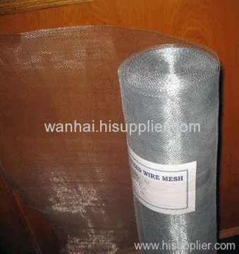 White Galvanized Iron Wire Netting 