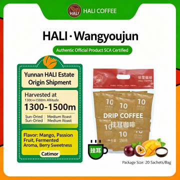 Kopi Titis Hali Wangyoujun