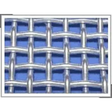 Galvanized Square Mesh
