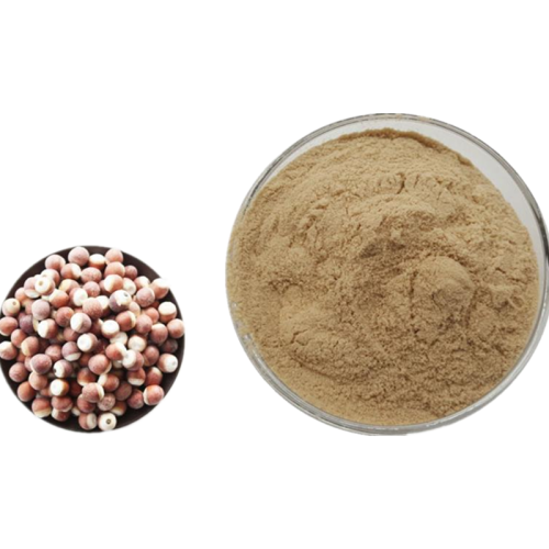 Gorgon Extract with Bulk Price