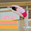 Movable & Adjustable Gym Ballet Barre
