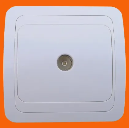 European Style RJ45 Socket (Internet numeric socket) (F2011)