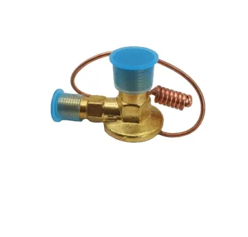 Auto A/C Expansion Valve Thermal Expansion Valve Evaporator Core OEM 447500-4050 for GAC Hino Guangqi