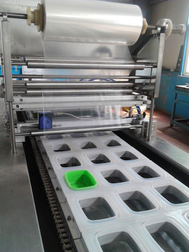 Fruit Cup Trays Sealing Machine