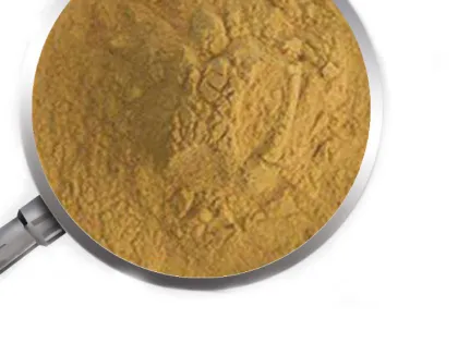 Citrus lemon dwarf citrus orange trees