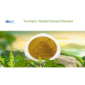 Best function cnidium monnieri extract powder fructus cnidii