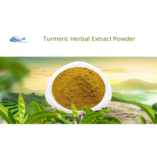 Water Soluble Curcumin Extract Powder Curcuma Longa