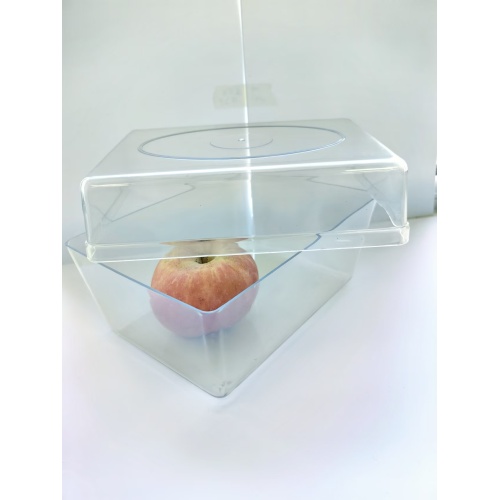 Durable Injection Molding Seed Germination Plastic Box