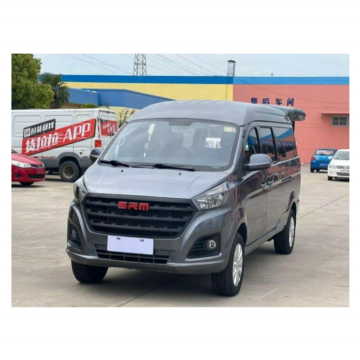 Best Selling SRM Mini Delivery Van with LED Display for Sale