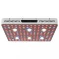 Planta de interior COB Grow Light 3000W