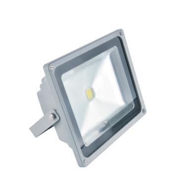 20w LED Floodlight