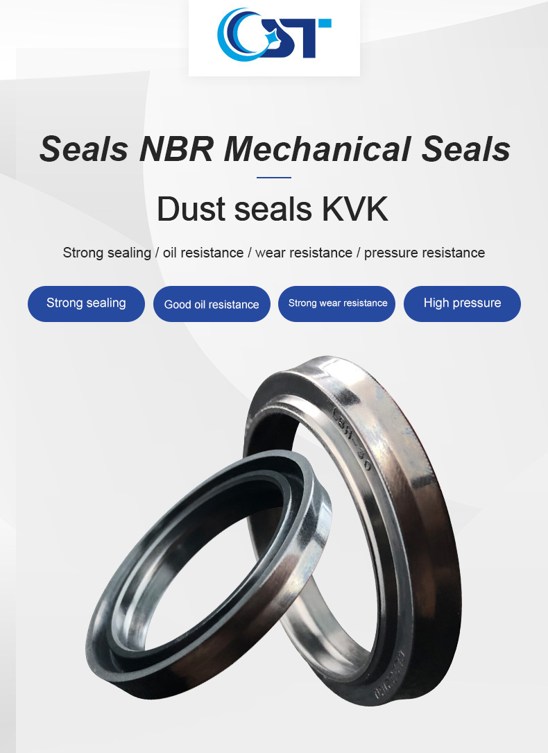 Lbh Dust Seal Nbr