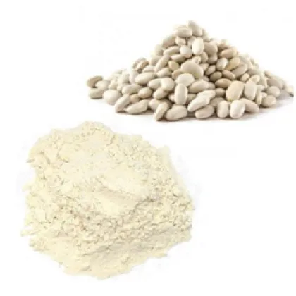 white kidney bean extract