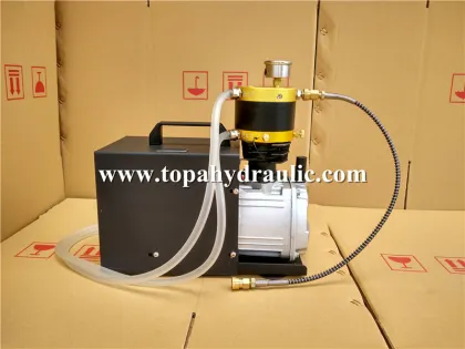Electric poseidon 2500 psi air compressor