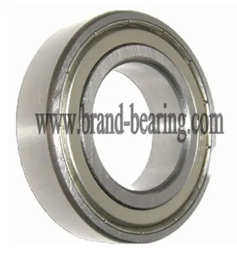 NTN 6007N bearing with snap ring groove