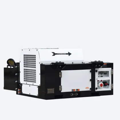 Thermoking Reefer Container Genset 15kw for San Antonio Este