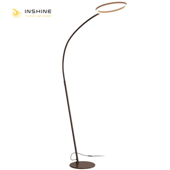 INSHINE Decorative Floor Light Lamp