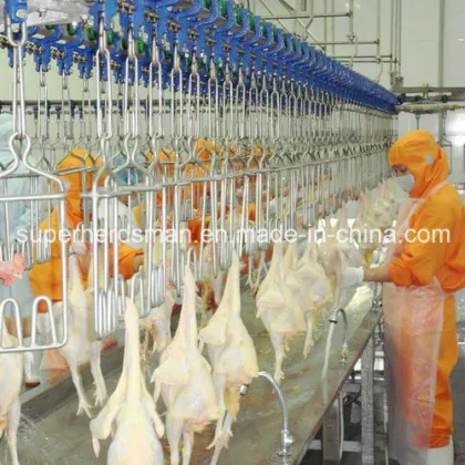 Full Set Chicken Slaughtering Equipment