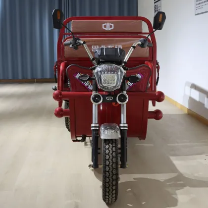 Cargo Bike 3 Wheel Electric Cargo Car