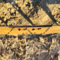 Rusted Garden Edging for garden of traditional color