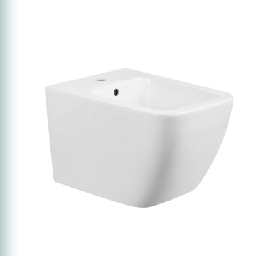 Bailu B-08DE Lampiran Kursi Toilet Bidet