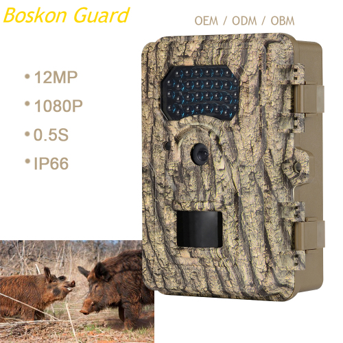 1080P Animal World Study Trail Camera