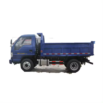 Foton Forland 4 Ton Light Dump Truck for Sale - Factory Direct