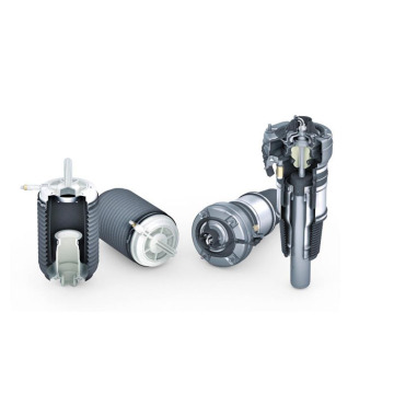 The first air spring suspension for compact SUVs A2203205013
