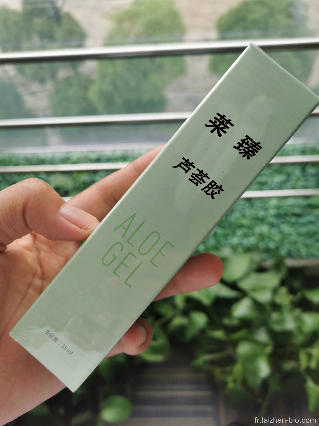 Gel d&#39;aloe vera en gros à bas prix de la nature