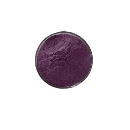 blackcurrant powder Black Currant Extract 25% anthocyanins