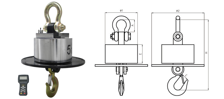 GWD800 crane scale