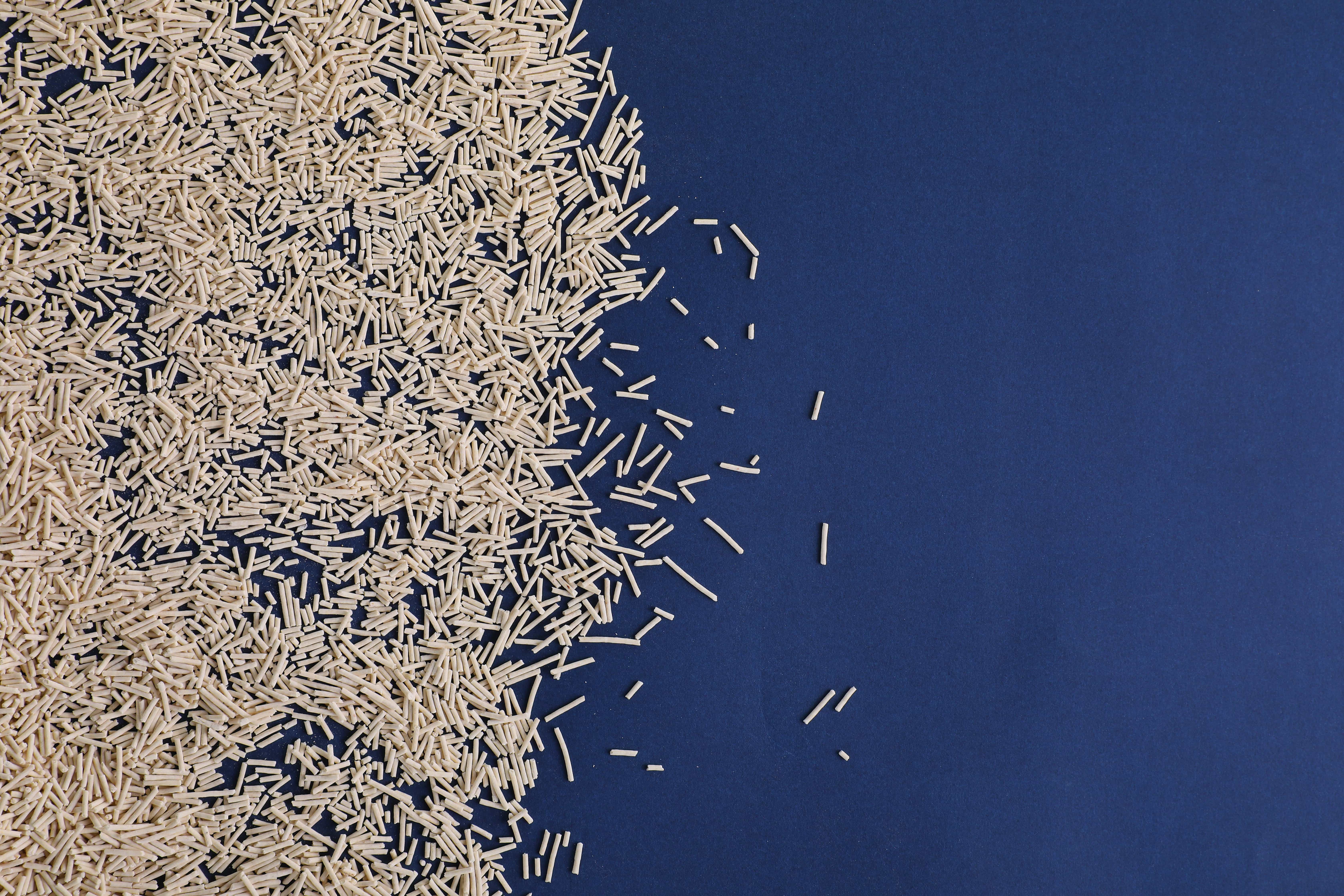 Natural Tofu Cat Litter Promotes Sustainable Living