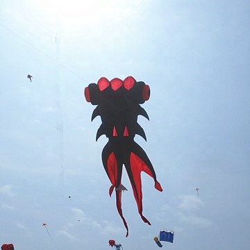 Customized Inflatable Animal and 3D Fish Kites for Promotion Events