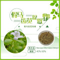 Natural Bacopa Monnieri Extract Powder