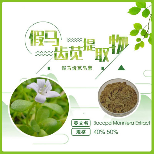 Natural Bacopa Monnieri Extract Powder