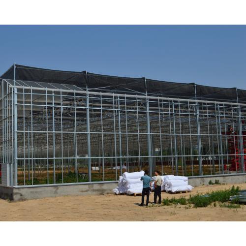 Scientific Research Agricultural Planting Greenhouse