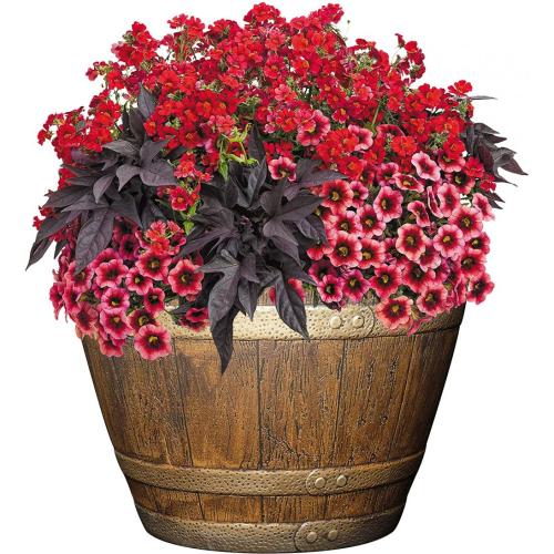 Best Plants for Pots All Year Classic Home and Garden Whiskey Barrel Supplier