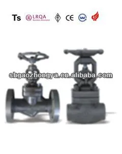 "Class 150"forged steel gate valve