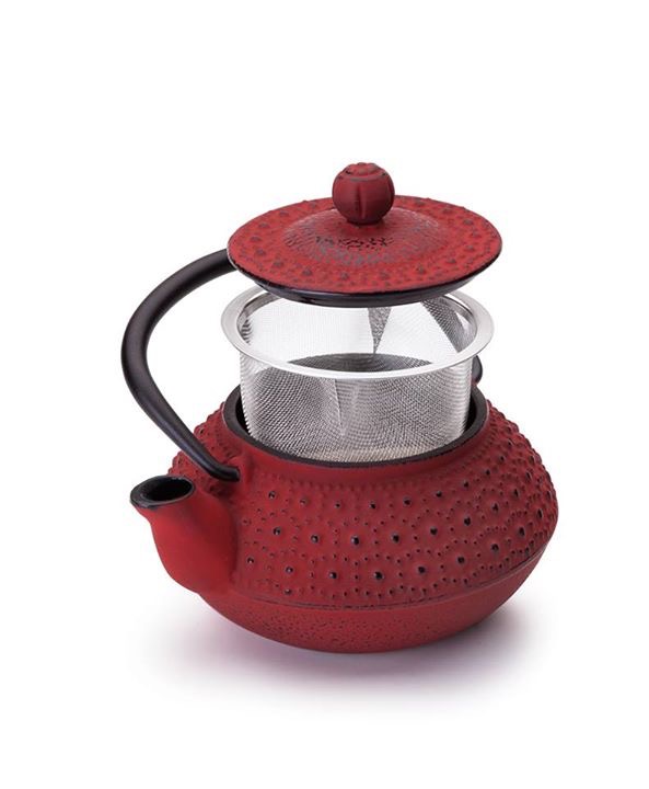 Cast iron tetsubin teapot
