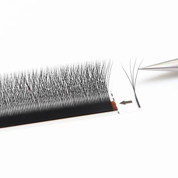 Shiny Lash W Shaped Clover Volume Eyelashes with Wholesale Pricing