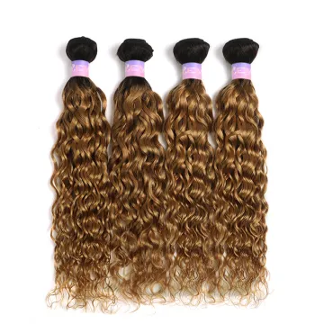 X-Tress  Brazilian Hair Bundles  Hairpieces Mongolian Virgin Hair Company Virgin Human Hair With Closure Brazil