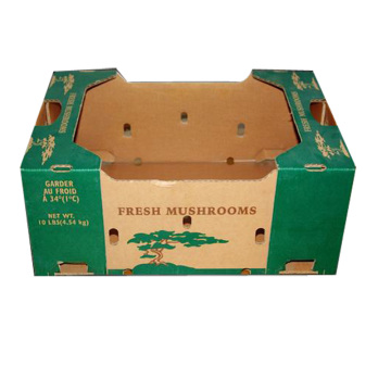 Fresh Mushrooms Packaging Carton (FC-CDB-20)